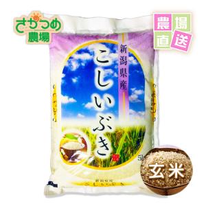 お米　こしいぶき　5kg　令和5年　新潟産　玄米　産地直送｜saka-farm