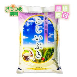 農家直売！令和7年度栃木県産 にじのきらめき 玄米10kg 農家直送 茨城県産 令和7年産/にじのきらめき 玄米/10キロ※普通精米
