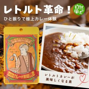 スパイス 塩 業務用 アウトドア キャンプ バーベキュー 肉 スパイス 香辛料 薬味 料理の友