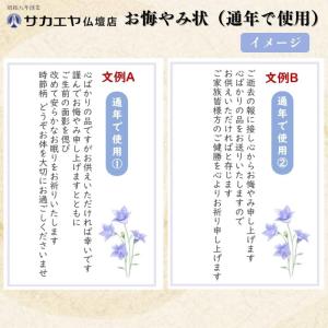 ドリームライト フローララ UFO(S)9×5...の詳細画像3