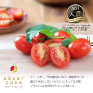 高糖度プレミアムミニトマト スイートキューブ ...の詳細画像1