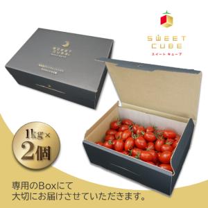 スイートキューブ トマトジュース 2種 ギフトセット 180ml×5本 ミニ