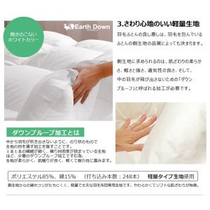 アースダウン 羽毛布団 セミシングル 羽毛掛け...の詳細画像3
