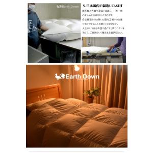 アースダウン 羽毛布団 セミシングル 羽毛掛け...の詳細画像5
