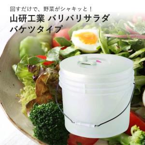 山研工業(株) 野菜水切り器 バリバリサラダ バケツタイプ : 新潟