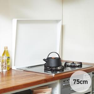 池永鉄工 コンロカバー (75cmビルトインコンロ用) IK2S-75 ステンレス