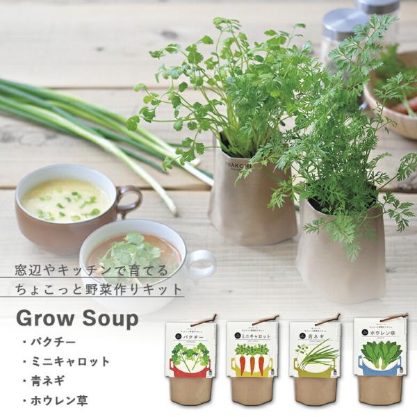 栽培セット プレゼント 家庭菜園 GD-795 育てるスープ 4種類から選べます 聖新陶芸 栽培キッ...