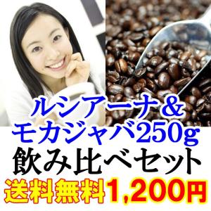 コーヒー豆 お試し 送料無料 コーヒー 1200円ポッキリ ...
