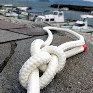 SKMエステルロープ 白 12mm 50m巻 ...の詳細画像2