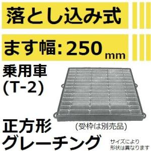 【適用ます幅250mm 乗用車耐荷重】HKSF350-25 落し込み式 正方形グレーチング (落とし...