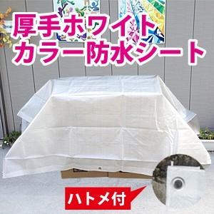 サイズ、種類豊富】厚手ホワイトカラー防水シート約3.5x5.3m(2間x3間