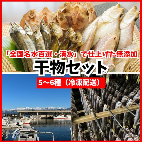 干物セット (5−6種) 父の日 ギフト 贈答品 富山 お土産 魚の干物 烏賊開き干し 焼き魚 冷凍