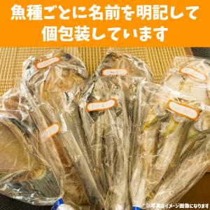 干物 & 蒲鉾 セット 冷蔵 富山 特産品 父...の詳細画像4