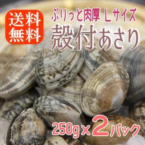 ボイル殻付あさり 砂抜き済み 250gx2パック 濃厚で美味...