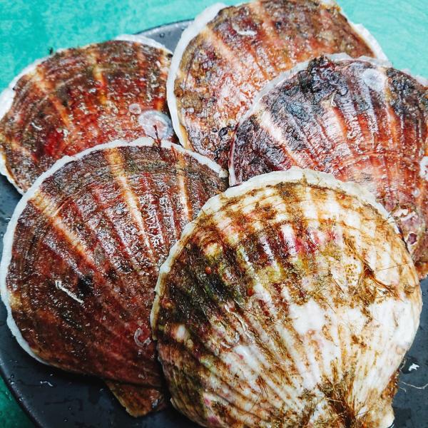 岩手県産 特大 活ほたて貝 ５枚