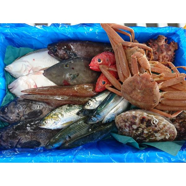 三陸 岩手 宮古 活き活き鮮魚詰合せ　(1)満腹セット