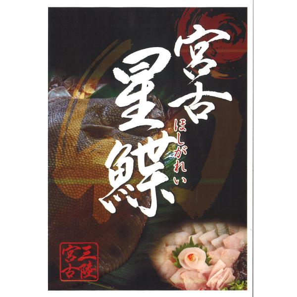 幻の高級魚「星鰈（ほしがれい）」活〆1尾入　岩手県産　鮮魚　養殖物　鰈