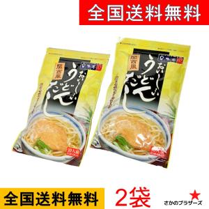 テイスティ おいしい うどんだし 関西風 出汁パック  （2人前×5袋入）×2袋  さな井監修 ミシ...