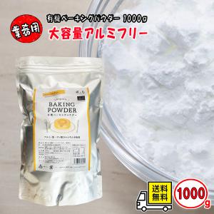風と光 有機ベーキングパウダー 大袋1000g アルミフリー 無添加 オーガニック 業務用｜さかのぶらざーず