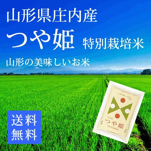 つや姫 白米１０ｋｇ 5kg×2 山形県庄内産 特別栽培米 令和5年産