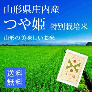 【29年産新米】つや姫 白米5kg 特別栽培米 山形県庄内...