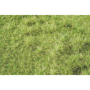 ノッホ　グラスマスター グラスマスター用接着剤 グラスグルー 250ml ：ノッホ 接着剤 ノン