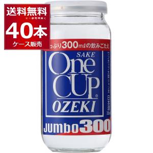 大関 ワンカップジャンボ 300ml×40本の買取情報