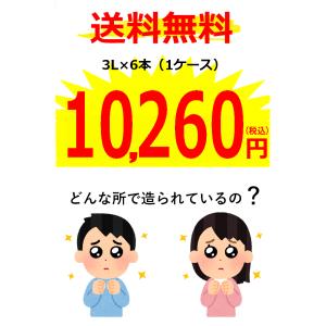 ワイン wine 箱ワイン セニョリオ デ マ...の詳細画像5