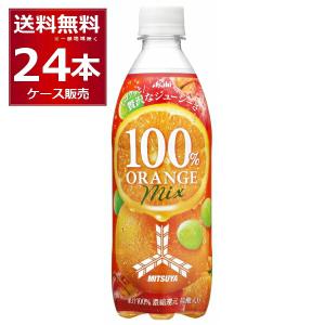 三ツ矢サイダー 100％オレンジミックス 500ml×24本 (1ケース)[送料無料※一部地域は除く]