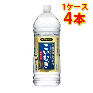 甲類焼酎 一風 25度 4000ml 4L ペット 1本 焼酎 美峰酒類 お酒 : 逸酒