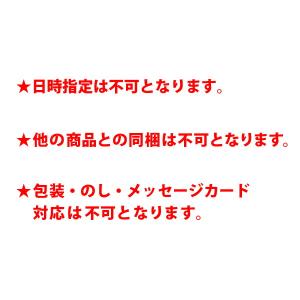 イズミック 麦茶 ラベルレス ペットボトル 5...の詳細画像5