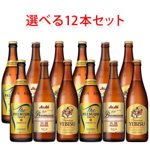 SUNTORY サントリー ザ・プレミアムモルツ 中瓶 500ml（1ケース