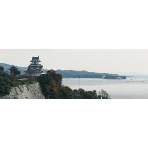 焼酎 二階堂酒造 二階堂 麦焼酎 25度 1....の詳細画像1