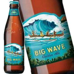 コナ ビッグウェーブ ゴールデンエール 355ml 輸入ビール 24本入り 1ケース 送料無料 北海...