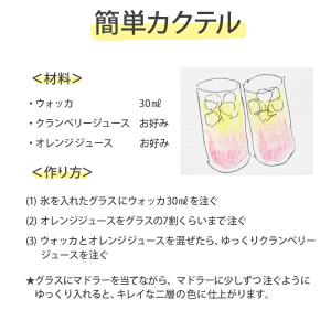 ウィルキンソン WILKINSON ウォッカ ...の詳細画像3