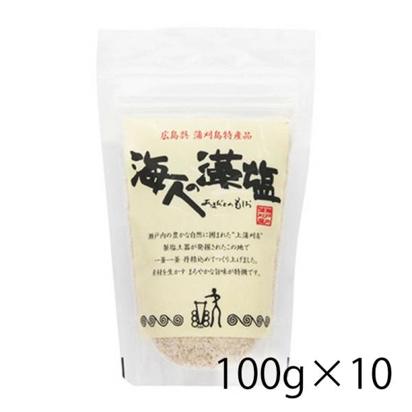 海人の藻塩 100g スタンドパック 袋 10個入り 1ケース 調味料 塩 食品 送料無料 北海道 ...