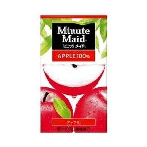 コカコーラ ミニッツメイド アップル 100% 1L ×6パック 1ケース