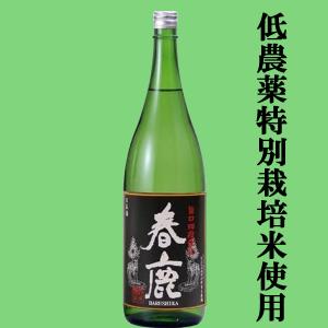 【燗酒コンテスト・プレミアム燗酒部門最高金賞受賞!冷酒から燗酒まで美味しい!】　春鹿　旨口　四段仕込　純米酒　1800ml