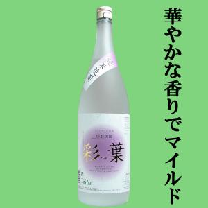 SUNTORY（サントリー） 知多 グレーンウイスキー ハーフボトルサイズ