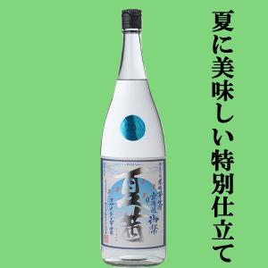 ワイルドターキー 8年 50.5度 101プルーフ フラスクボトル 200ml(正規