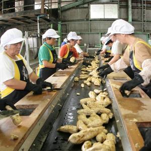 【ご予約!4月下旬以降発送!】【酒屋が選ぶ焼酎...の詳細画像2