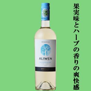 送料無料！】 ユー・バイ・ウンドラーガ シャルドネ 白 750ml(正規輸入