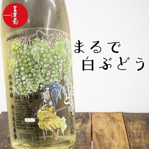 三芳菊 みよしきく 純米吟醸 無濾過生原酒 白ぶどう 1800ml 徳島の日本酒