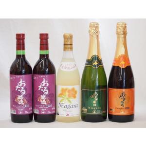 北海道おたるスペシャルワイン5本セット(やや甘口 辛口赤)720ml×5本