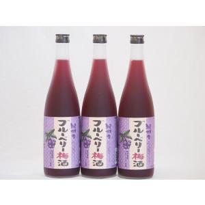 紀州のブルーベリー梅酒 中野BC(和歌山県)720ml×3本｜sake-gets