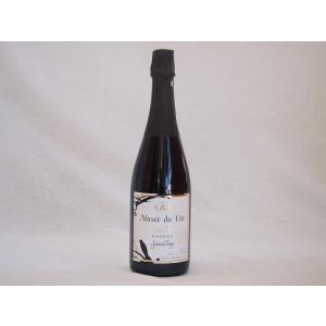 長野県産100％辛口スパークリング赤ワイン オアシス ミュゼドゥヴァン  ブラッククイーン 750ml×1本｜sake-gets