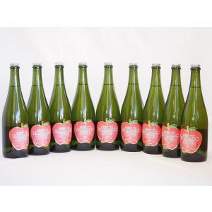 9本セット(北海道余市産りんご100%シードル スパークリングワイン alc.5.5% やや甘口) 750ml×9本｜sake-gets