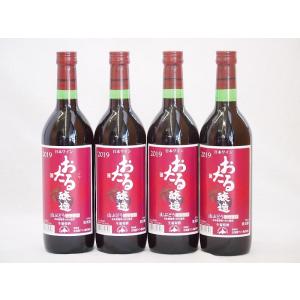 4本セット(北海道産100%赤ワイン 生葡萄酒 山ぶどう alc.10%やや甘口) 720ml×4本｜sake-gets