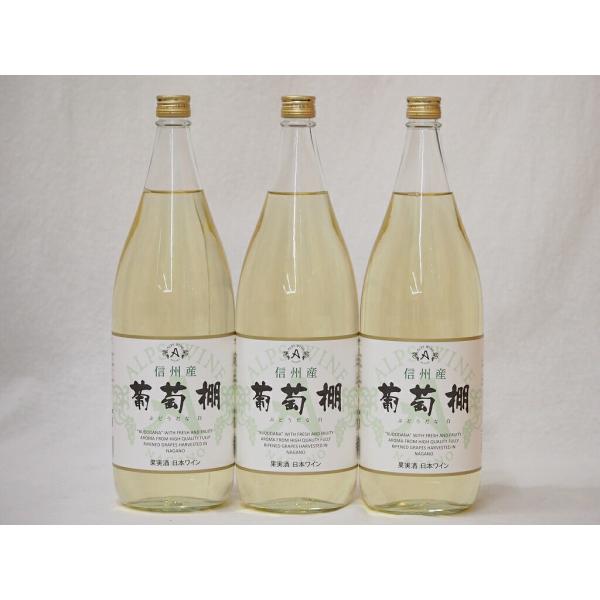 日本ワインセット 信州産葡萄棚 白ワインセット 中口(長野県)1800ml×3