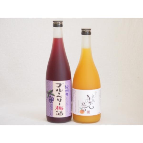 果物梅酒2本セット(岩手県産ブルーベリー梅酒 有田完熟みかん梅酒) 720ml×2本